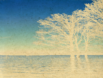 Similar image 503997