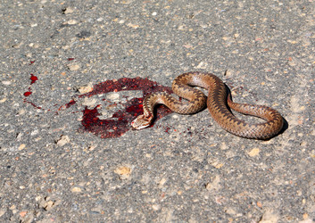 Similar image 503998