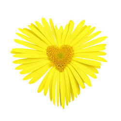 Similar image 503999