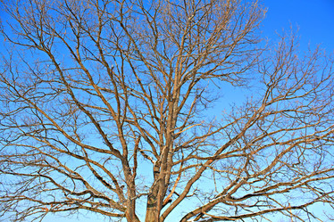 Similar image 504014