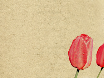 Similar image 504022