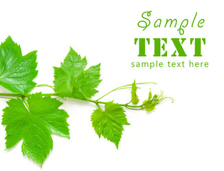 Similar image 504039