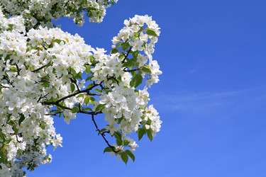 Similar image 504040