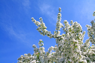 Similar image 504042