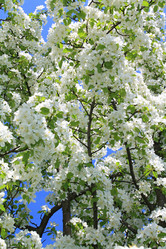 Similar image 504043