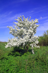 Similar image 504055