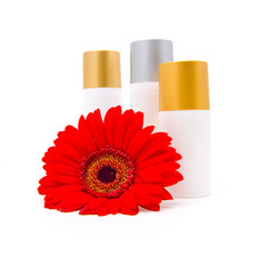 Similar image 504060