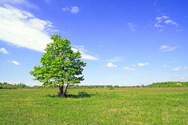 Similar image 504064