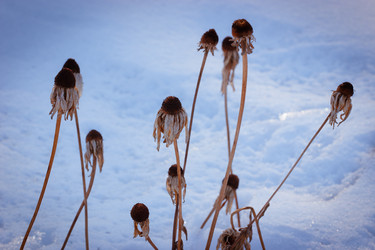 Similar image 504066