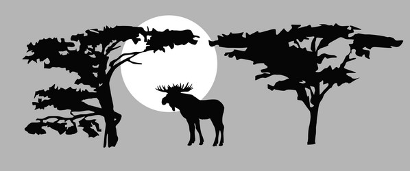 Similar image 504070