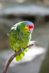 Similar image 504071