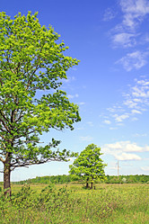 Similar image 504073