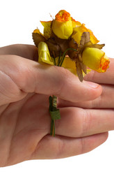 Similar image 504076