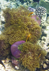 Similar image 504086