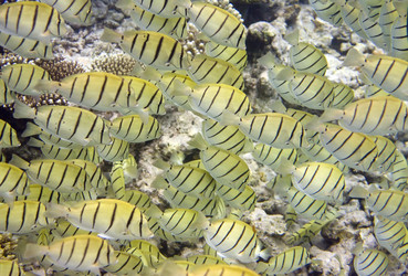 Similar image 504089