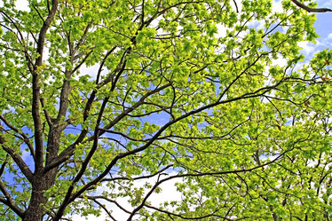 Similar image 504099