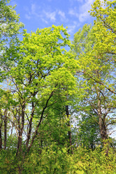 Similar image 504107