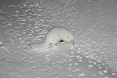 Similar image 504120