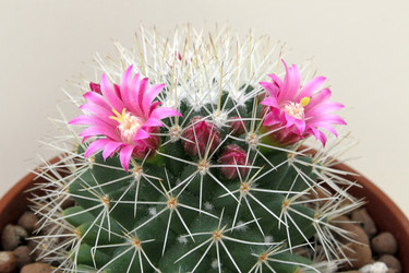 Similar image 504148