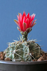 Similar image 504150