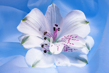 Similar image 504156