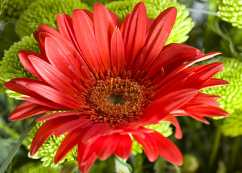 Similar image 504158