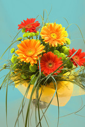 Similar image 504162