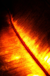 Similar image 504175