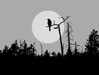 Similar image 504193