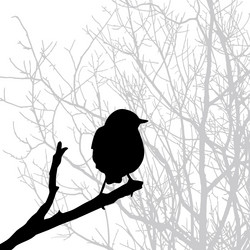 Similar image 504201