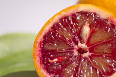 Similar image 504210