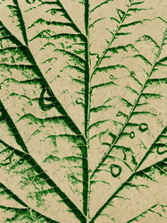 Similar image 504221