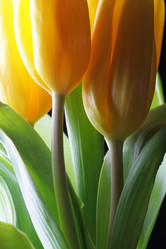 Similar image 504227