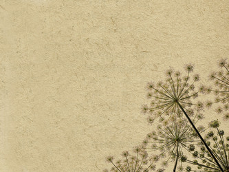 Similar image 504236