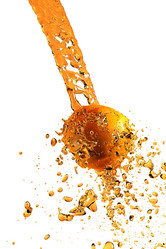 Similar image 504239