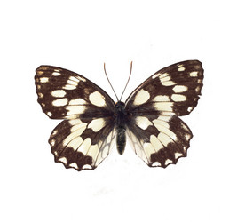 Similar image 504248