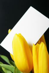 Similar image 504279