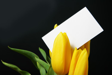 Similar image 504280