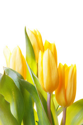 Similar image 504285