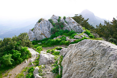 Similar image 504303