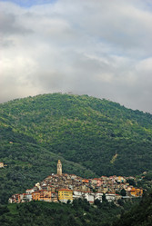 Similar image 504328