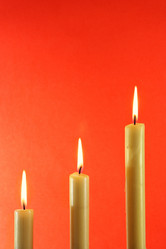 Similar image 504387