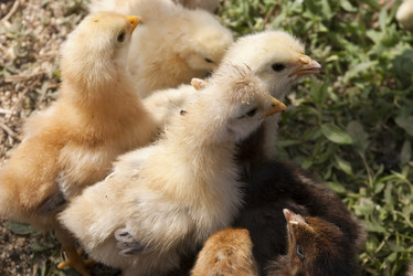 Similar image 504408