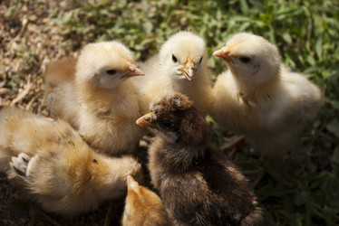 Similar image 504409