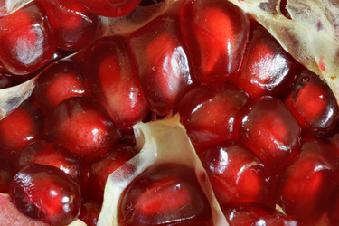 Similar image 504423