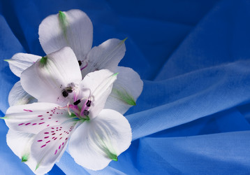 Similar image 504468