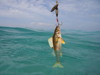 Similar image 504494