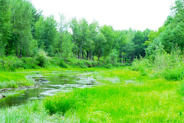 Similar image 504495