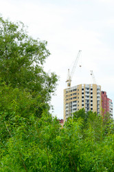 Similar image 504497