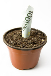 Similar image 504511